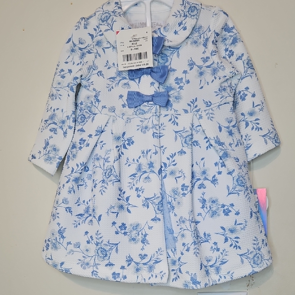 Floral Blue and White Baby Dress